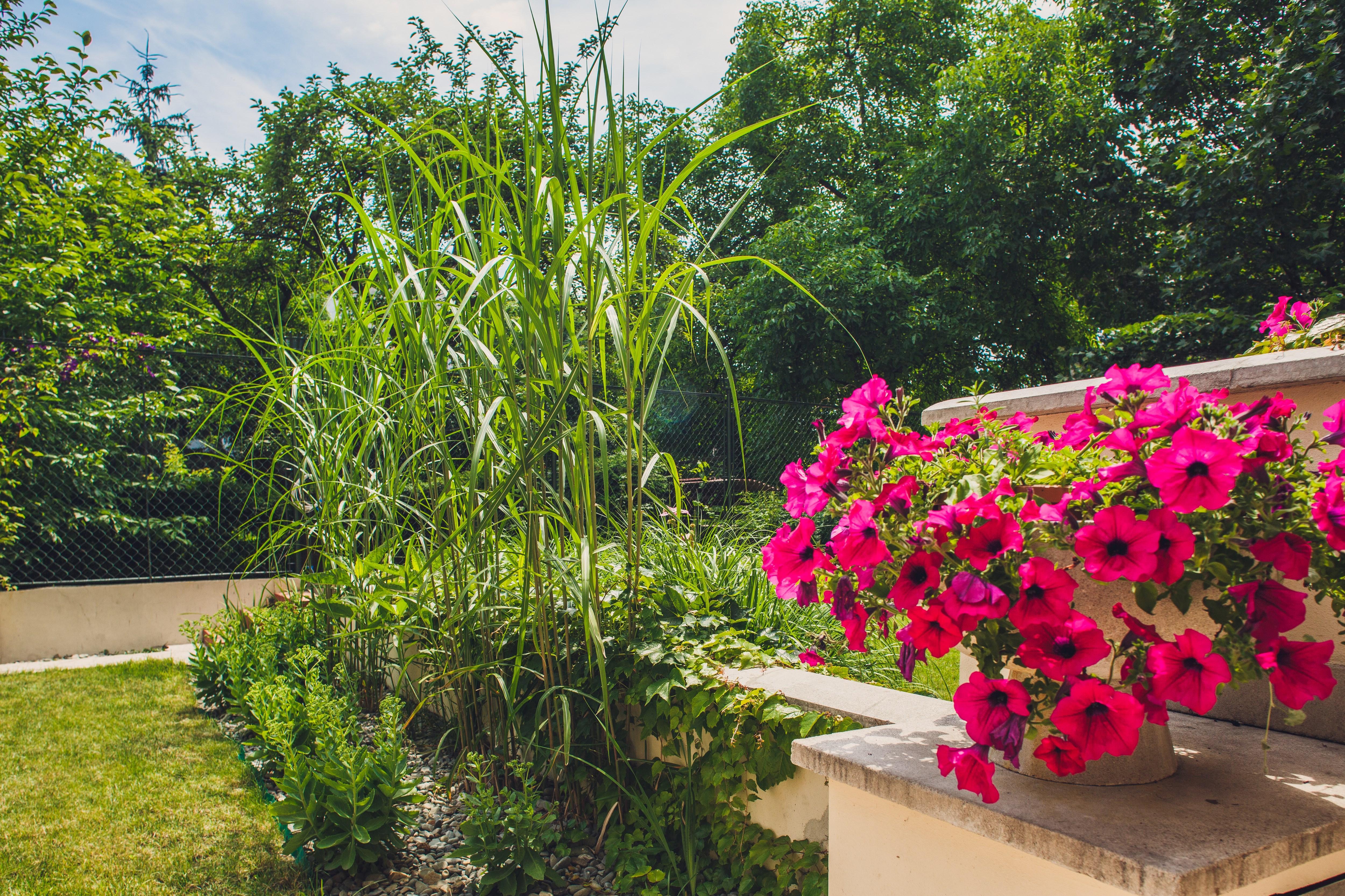 4seasons﻿ Cracow Aparthotel Krakow